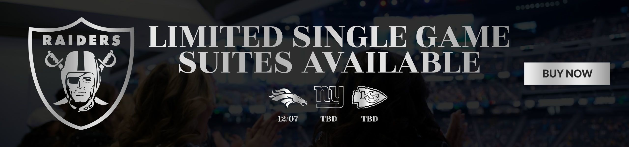 Las Vegas Raiders Premium Seating - View Now