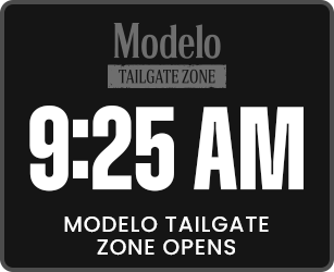 MTZ Open - web