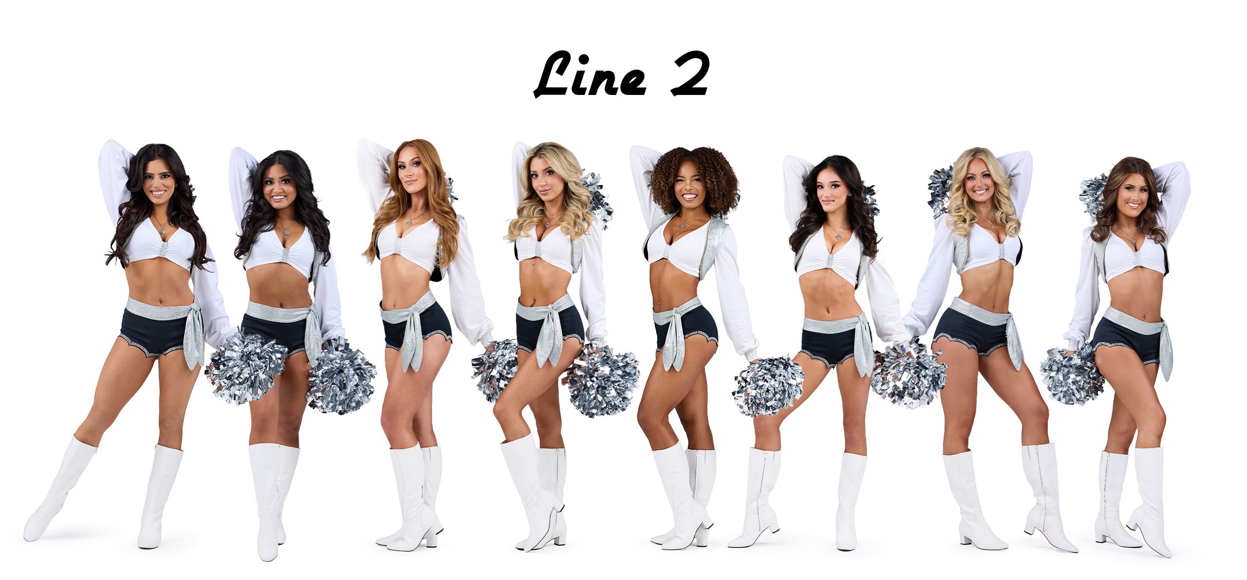 Line 2[13]