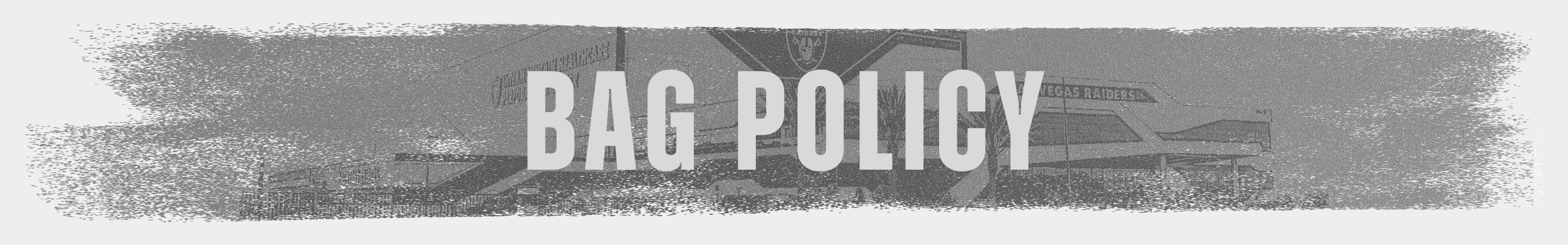 NFL Bag Policy