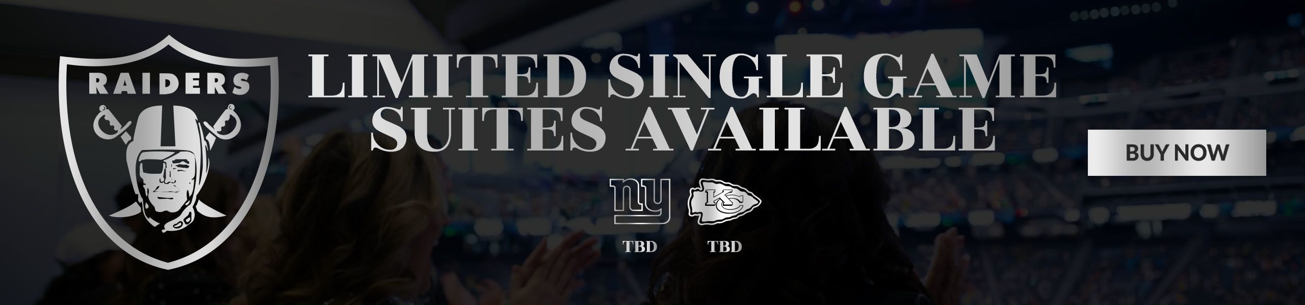 Las Vegas Raiders Premium Seating - View Now