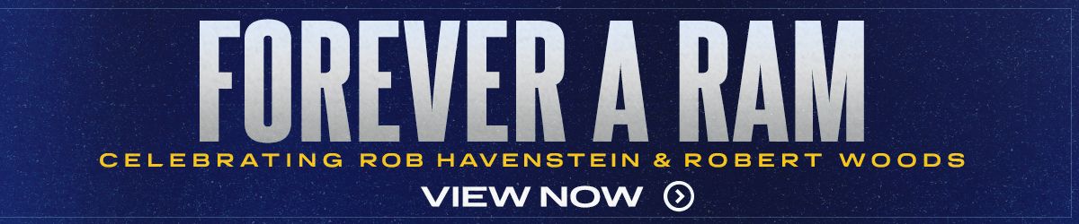 woods-Responsive-Landing-Page-Banner-BOTH2