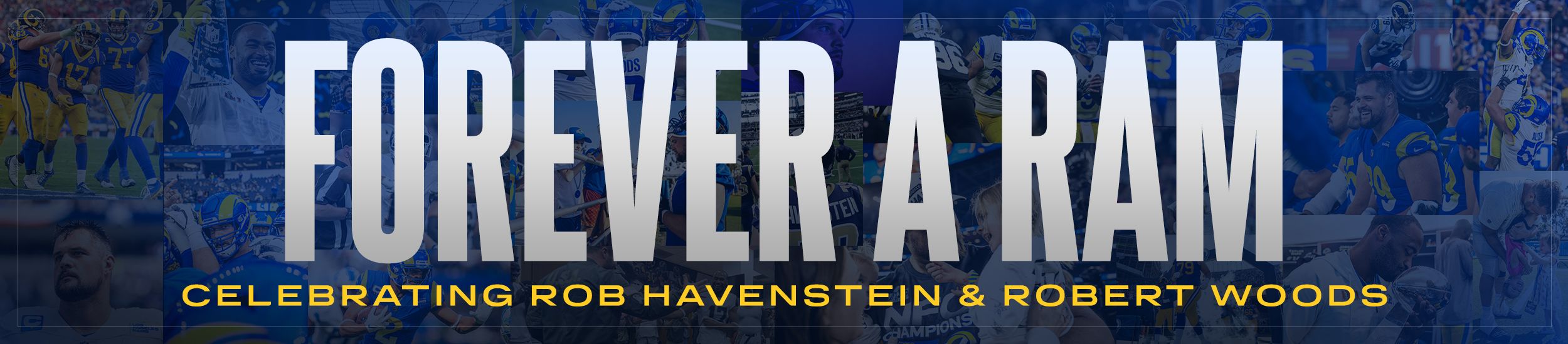 woods BOTH header copy