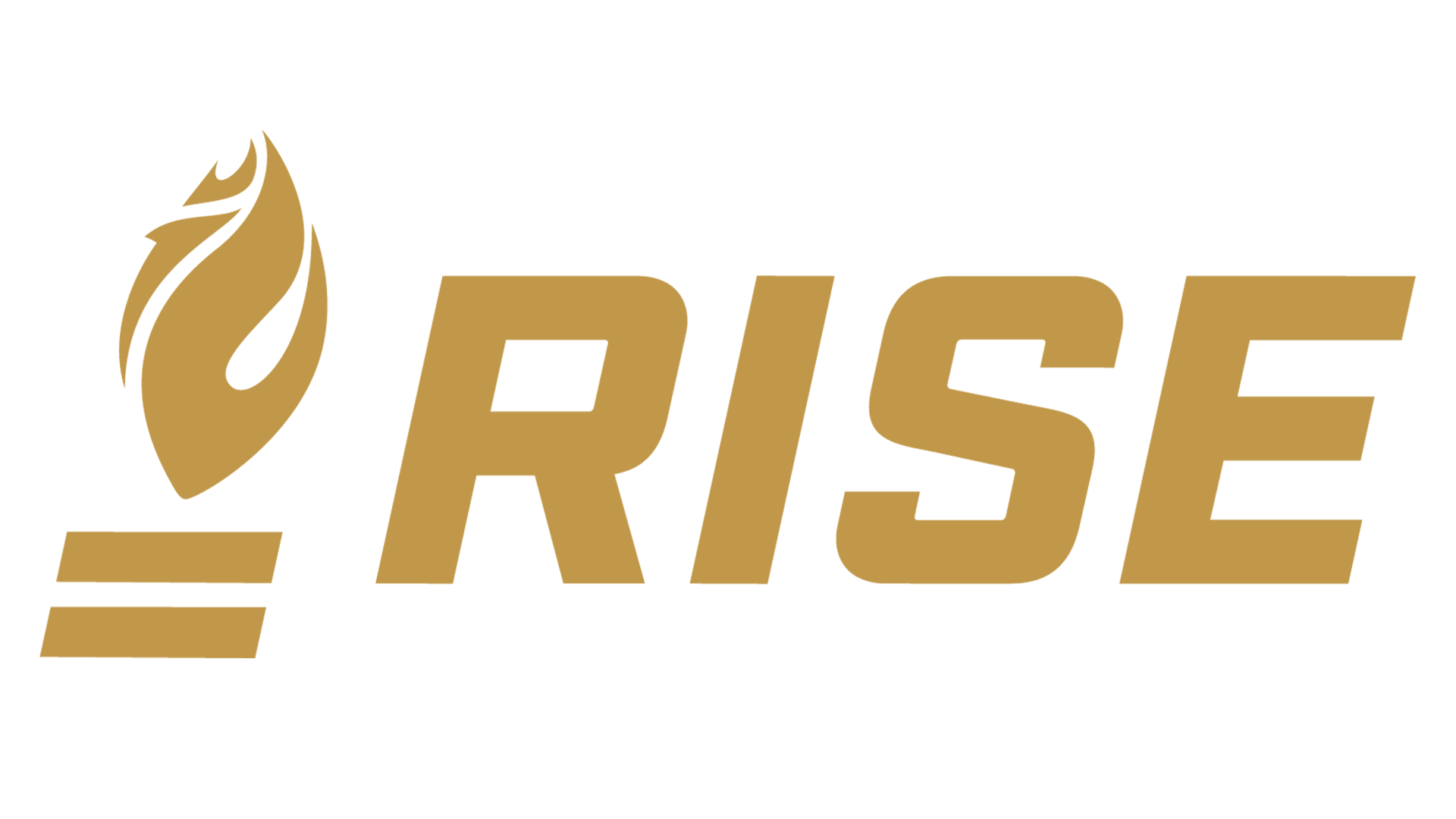 2024-vote-page-rise-logo