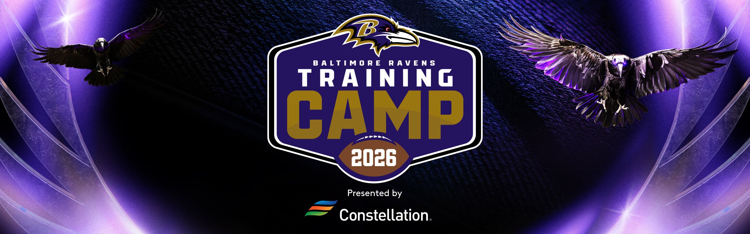 Training Camp Webpage Header (1)