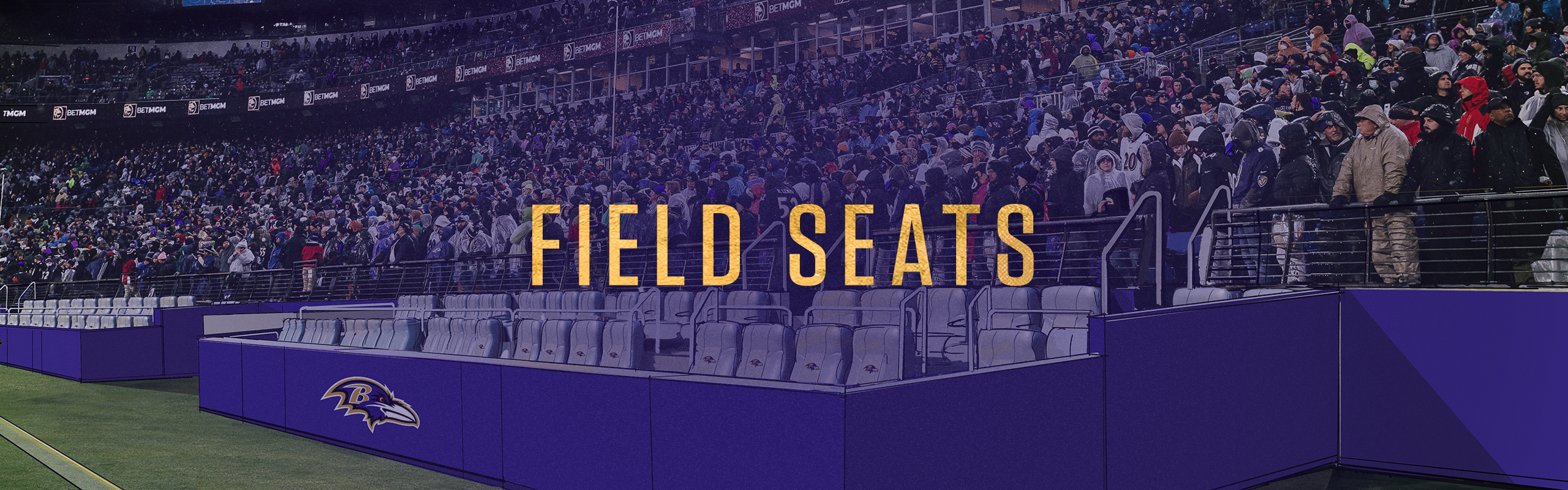 Field Seats
