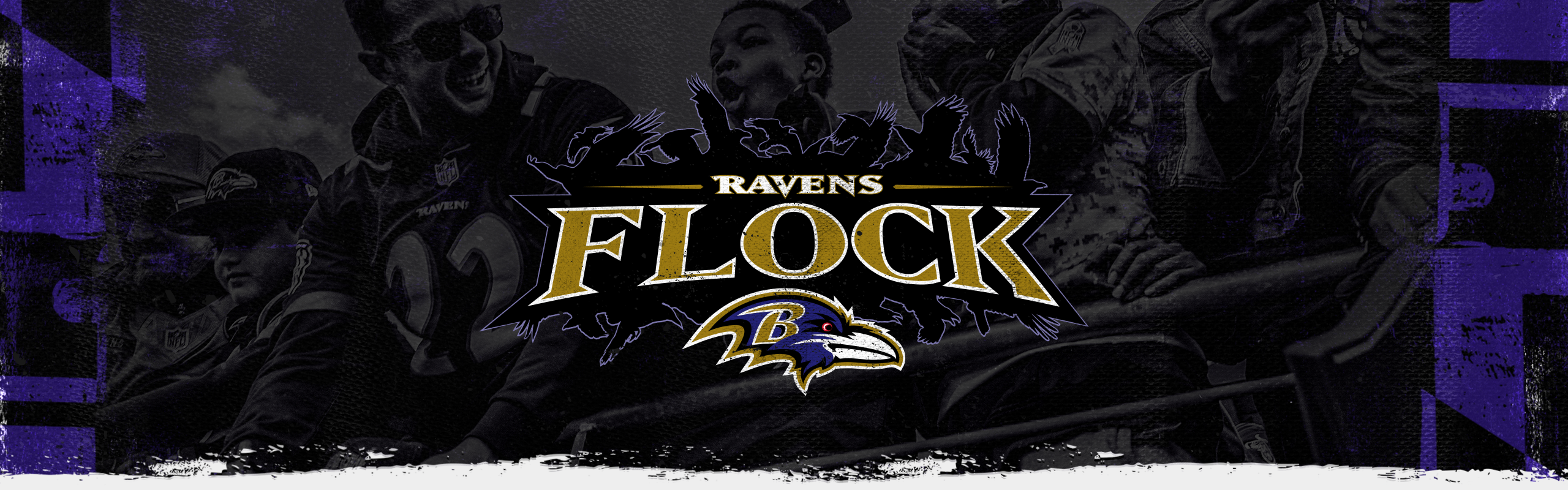 Ravens Flock