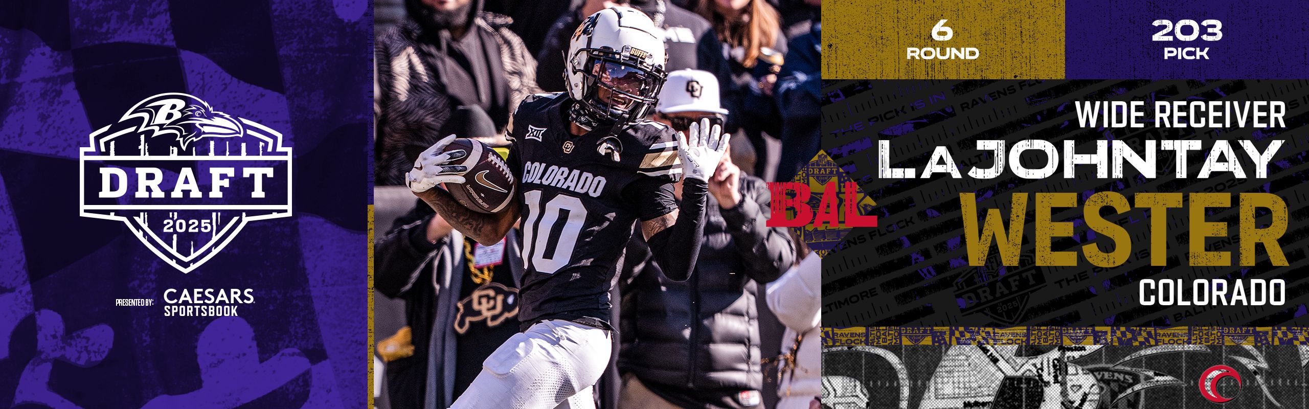 R6P203_PICK_Site_Tout