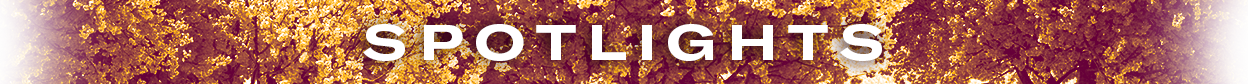 Subheader-Spotlights_For-Web_1248x84