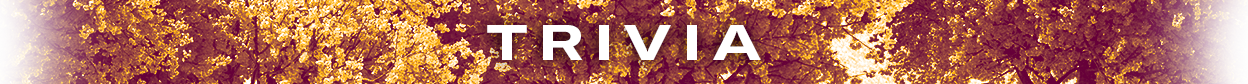 Subheader-Trivia_For-Web_1248x84