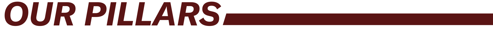 Our Pillars (4)