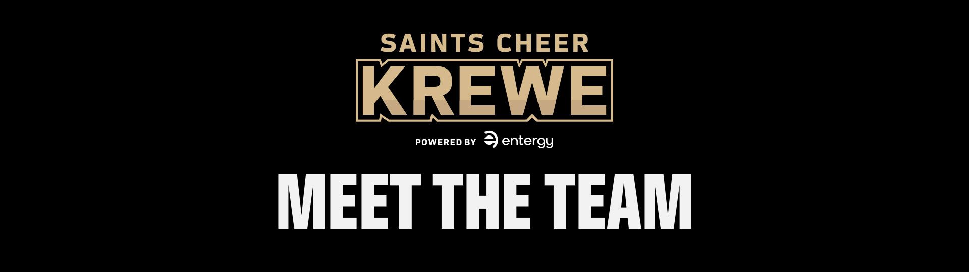 Meet the Team