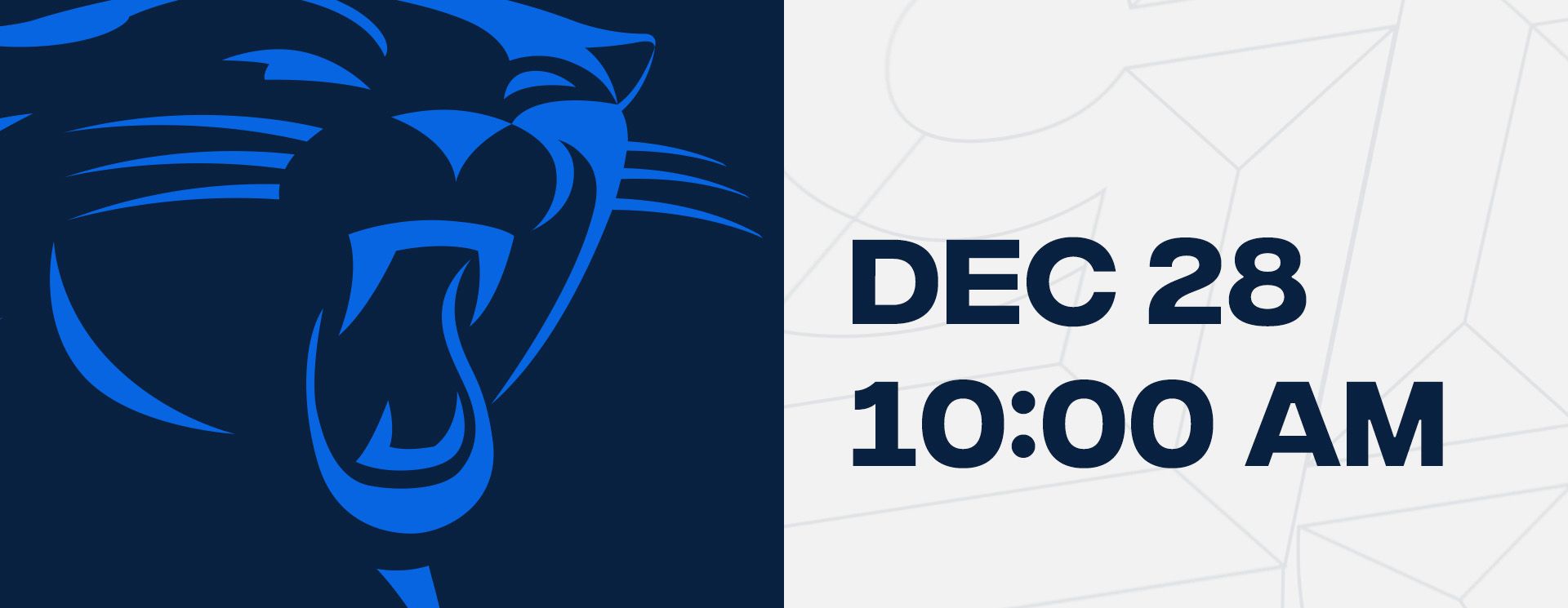 Week 17 - Carolina Panthers
