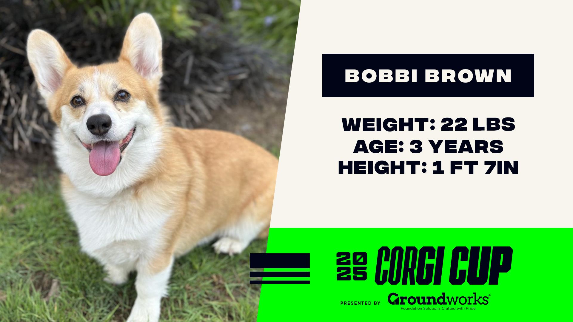 Bobbi - Height: 1'7'', Weight: 22 LBS, Age: 3