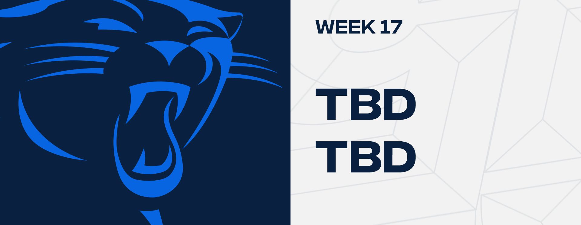 Week 17 - Carolina Panthers