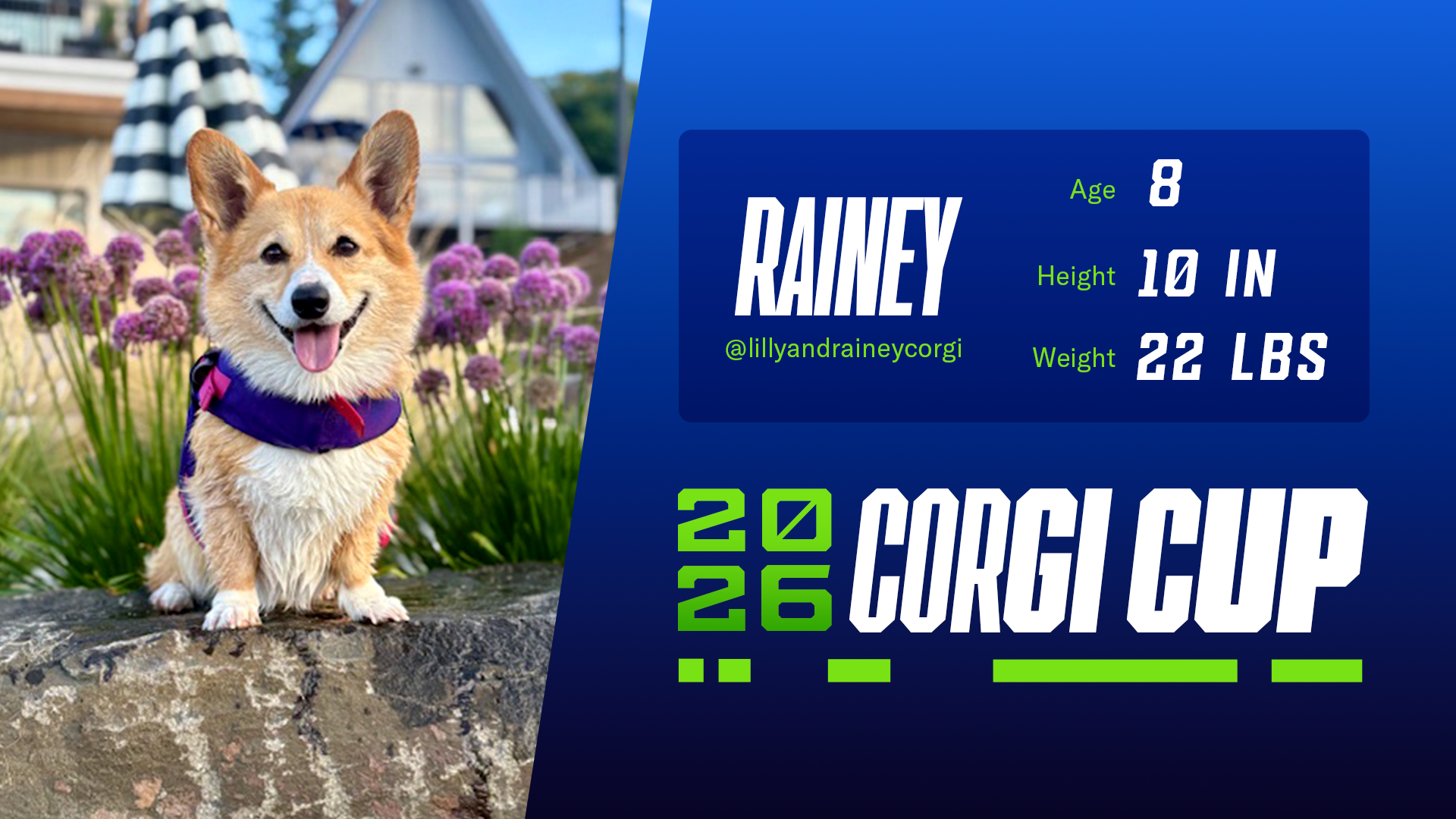 Rainey - Age: 8, Height: 10in, Weight: 22lbs