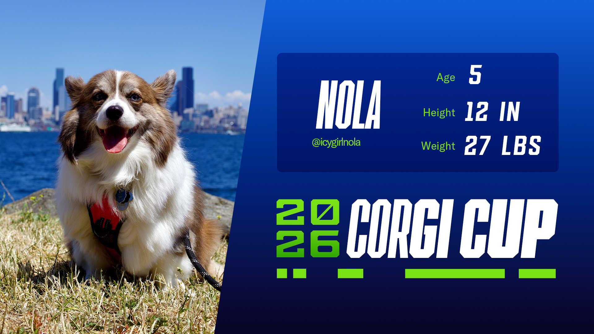 Nola - Age: 5, Height: 12", Weight: 27 lbs