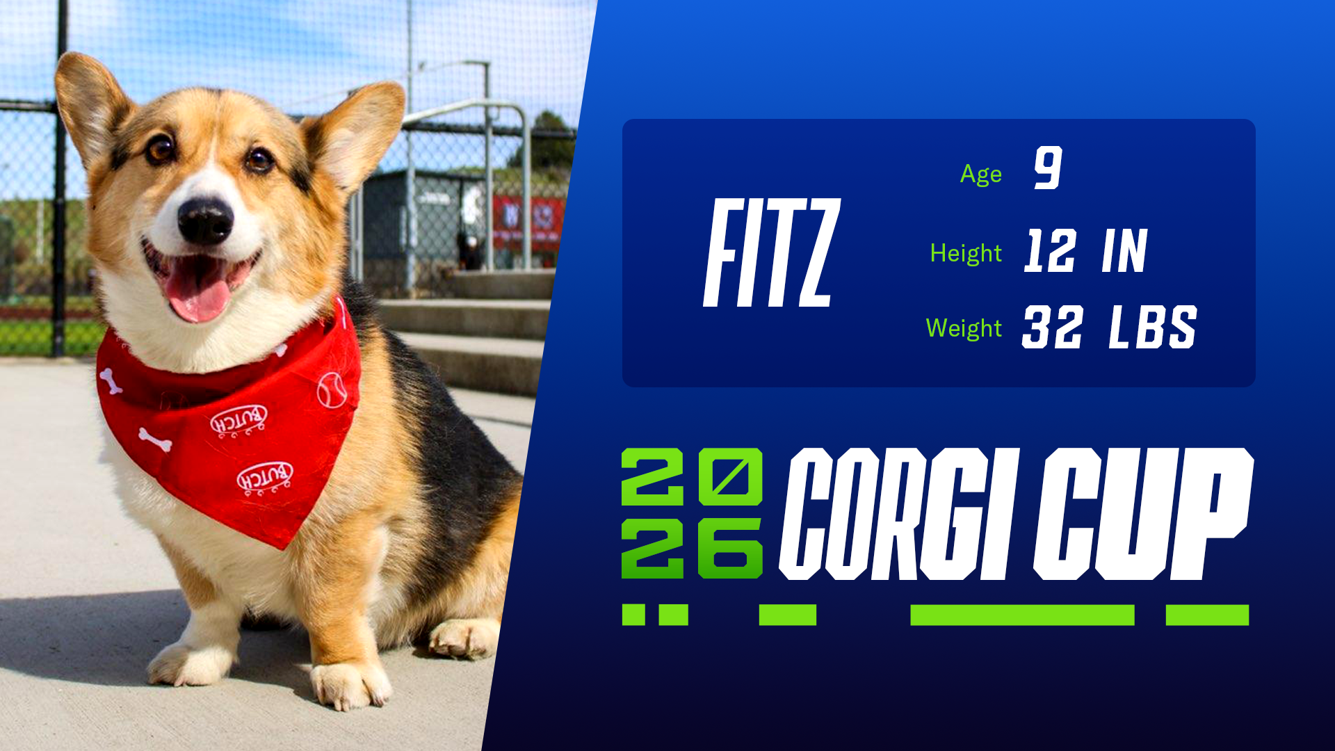 Fitz - Age: 9, Height: 12", Weight: 32 lbs