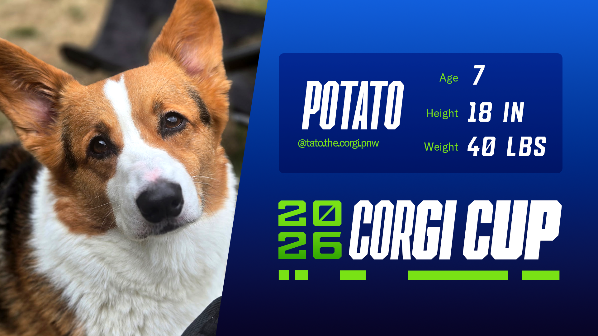 Potato - Age: 7, Height: 18", Weight: 40 lbs