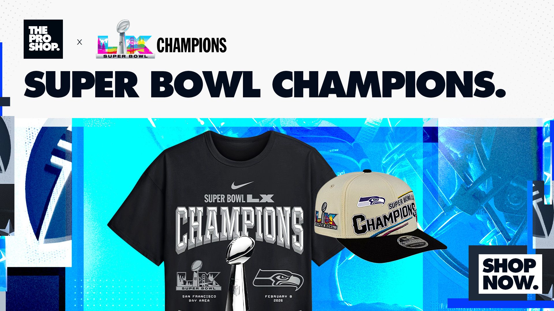 Super Bowl Champions Collection