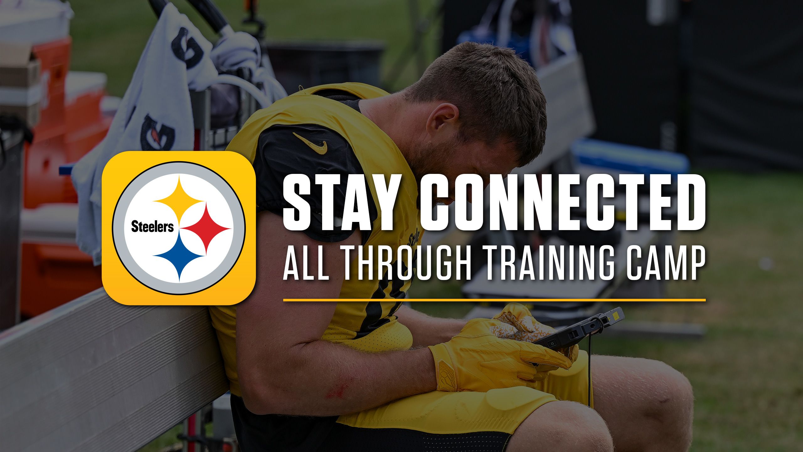 2024_TC_Coverage_Modules_Mobile_App_Watt