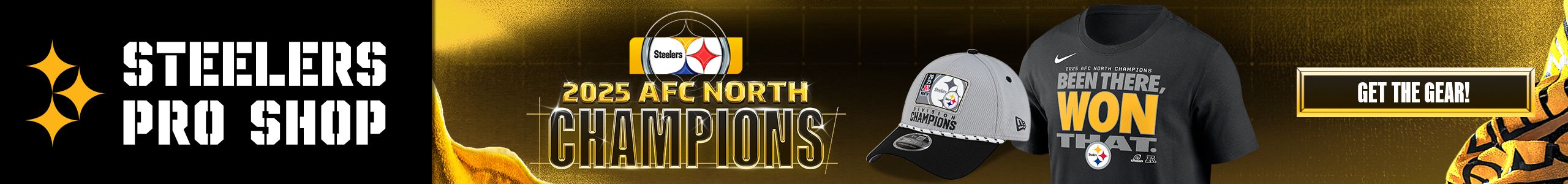 AFCNorth_Champs_Hero