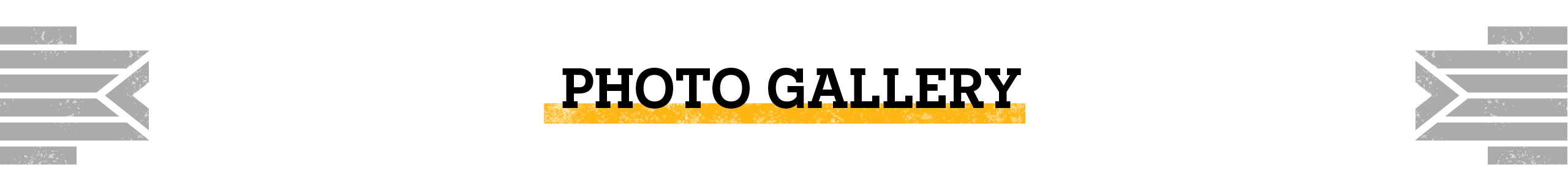 1933_PhotoGallery_Section_v2