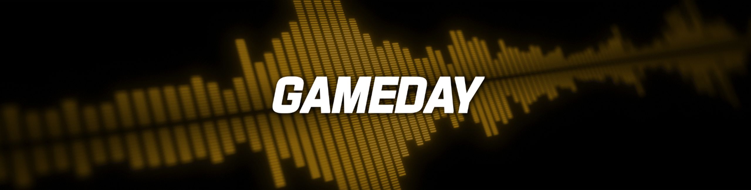 2025_Steelers Audio Network_Header-Gameday