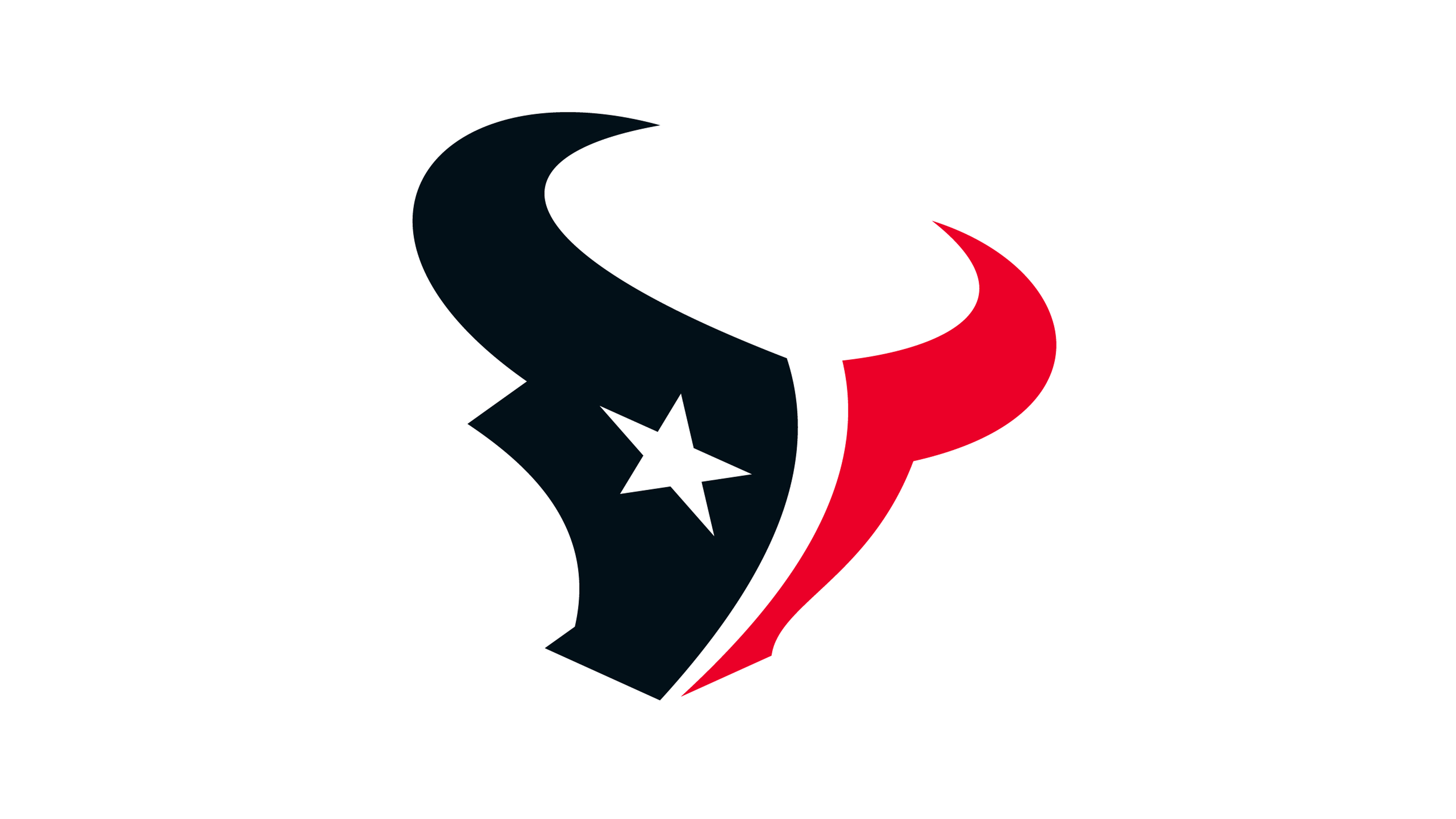 Houston Texans