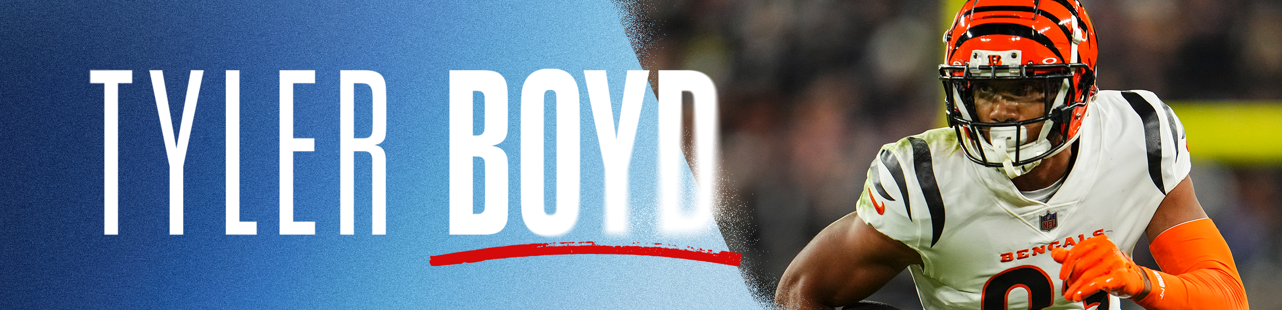 Boyd 2 - 2560x619 (1)