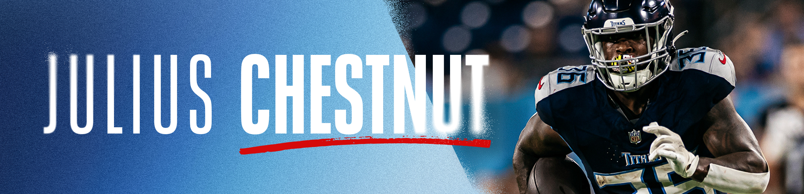 Chestnut 2 - 2560x619 (1)