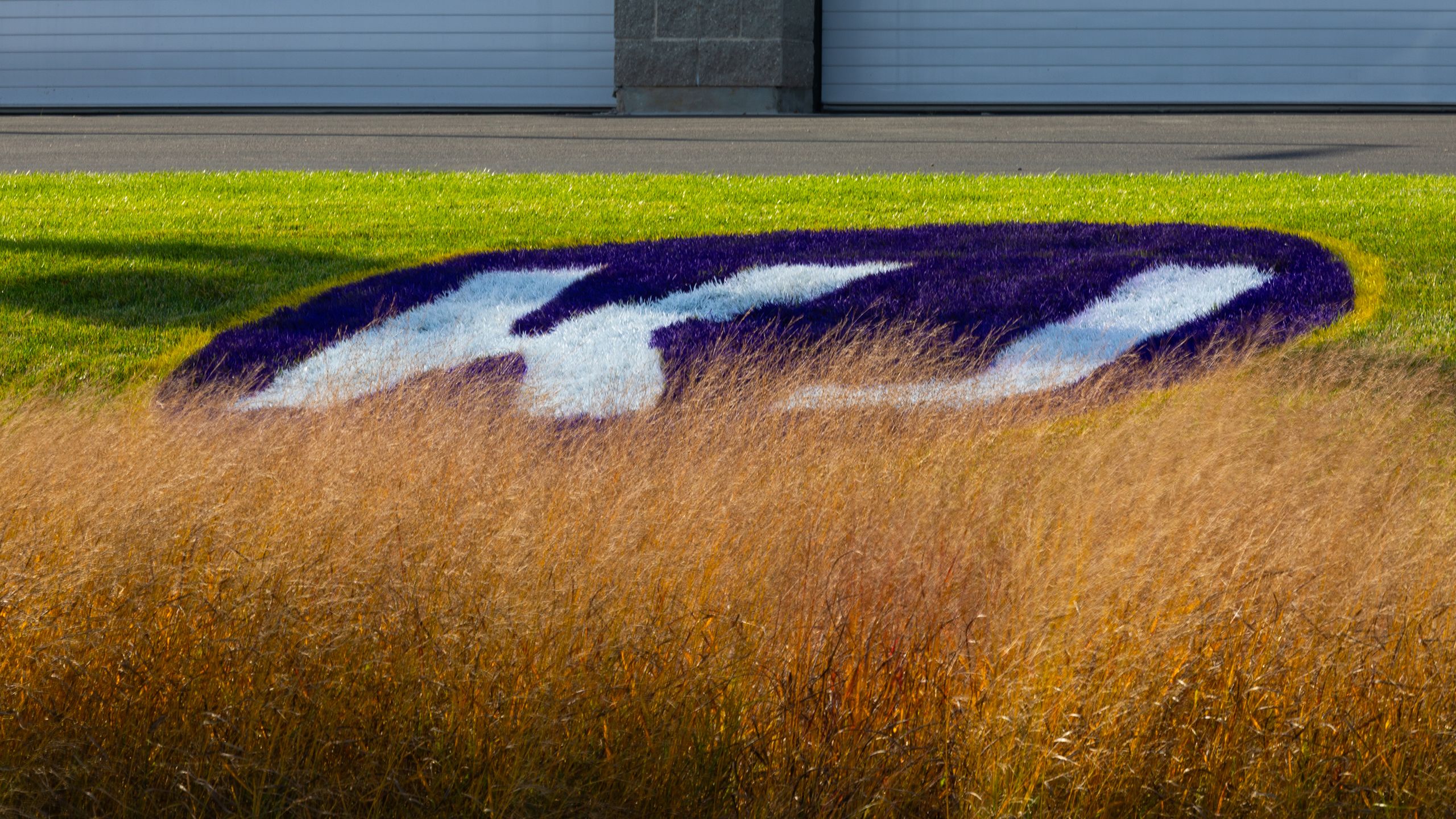 Image of practice on Oct. 28, 2024 at TCOPC in Eagan, MN.Khyree Jackson