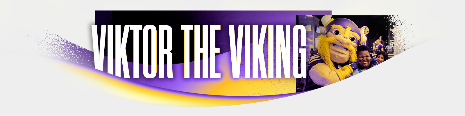 2025.DIGI - Viktor The Viking Web Header