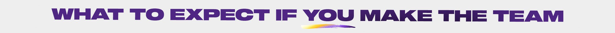 2560x140.MVC2024_Subhead_AuditionTimeline_WhattoExpect