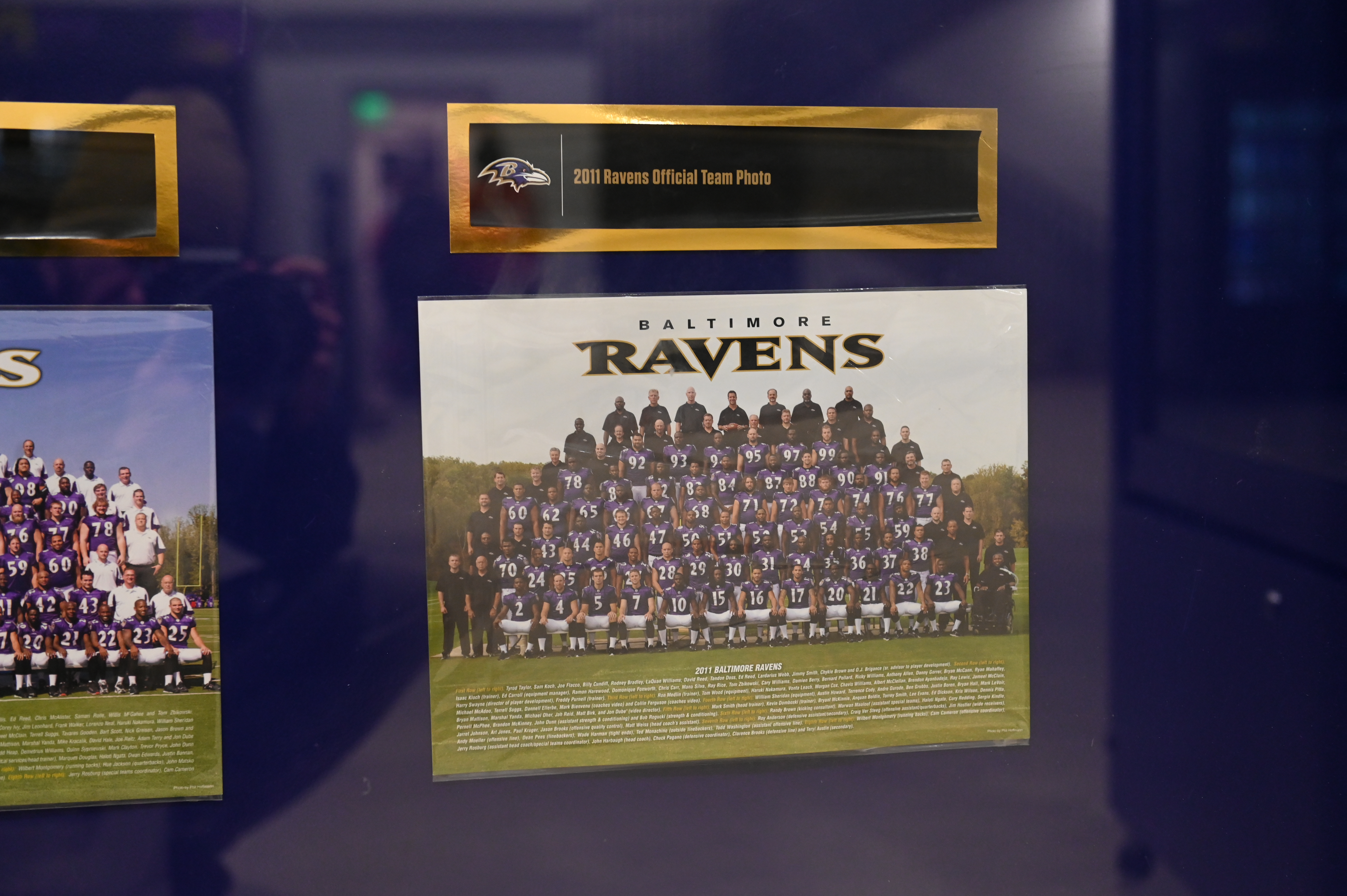 2011 Ravens Official Team Photo