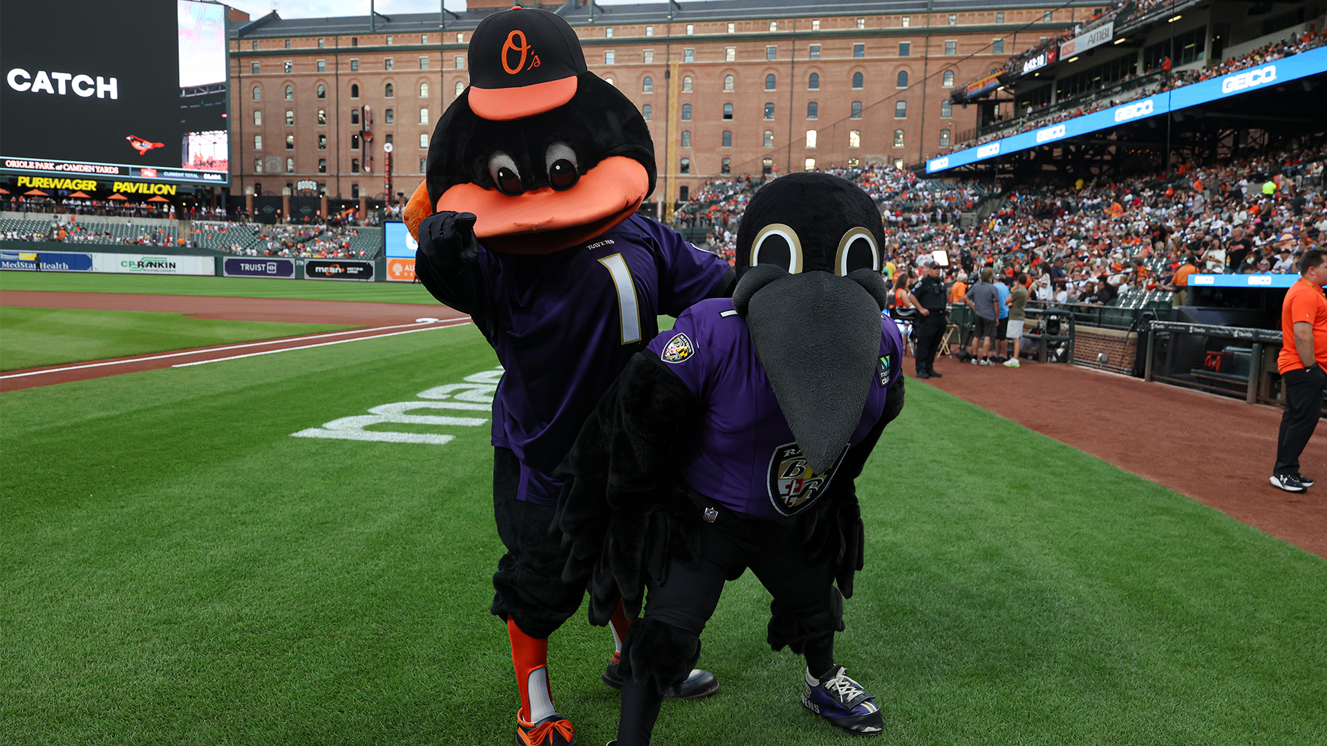 Sunday with the Birds gameday graphic