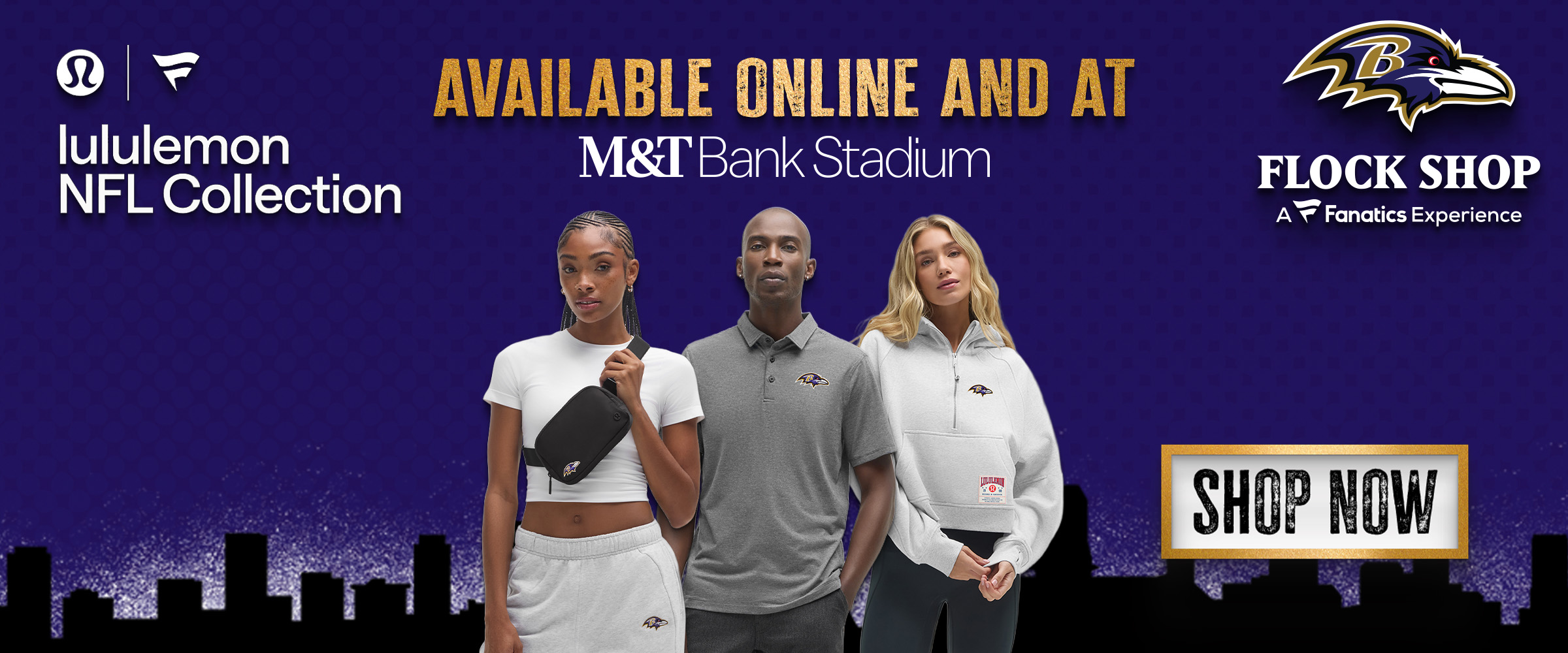 Baltimore Ravens Promotion Banner