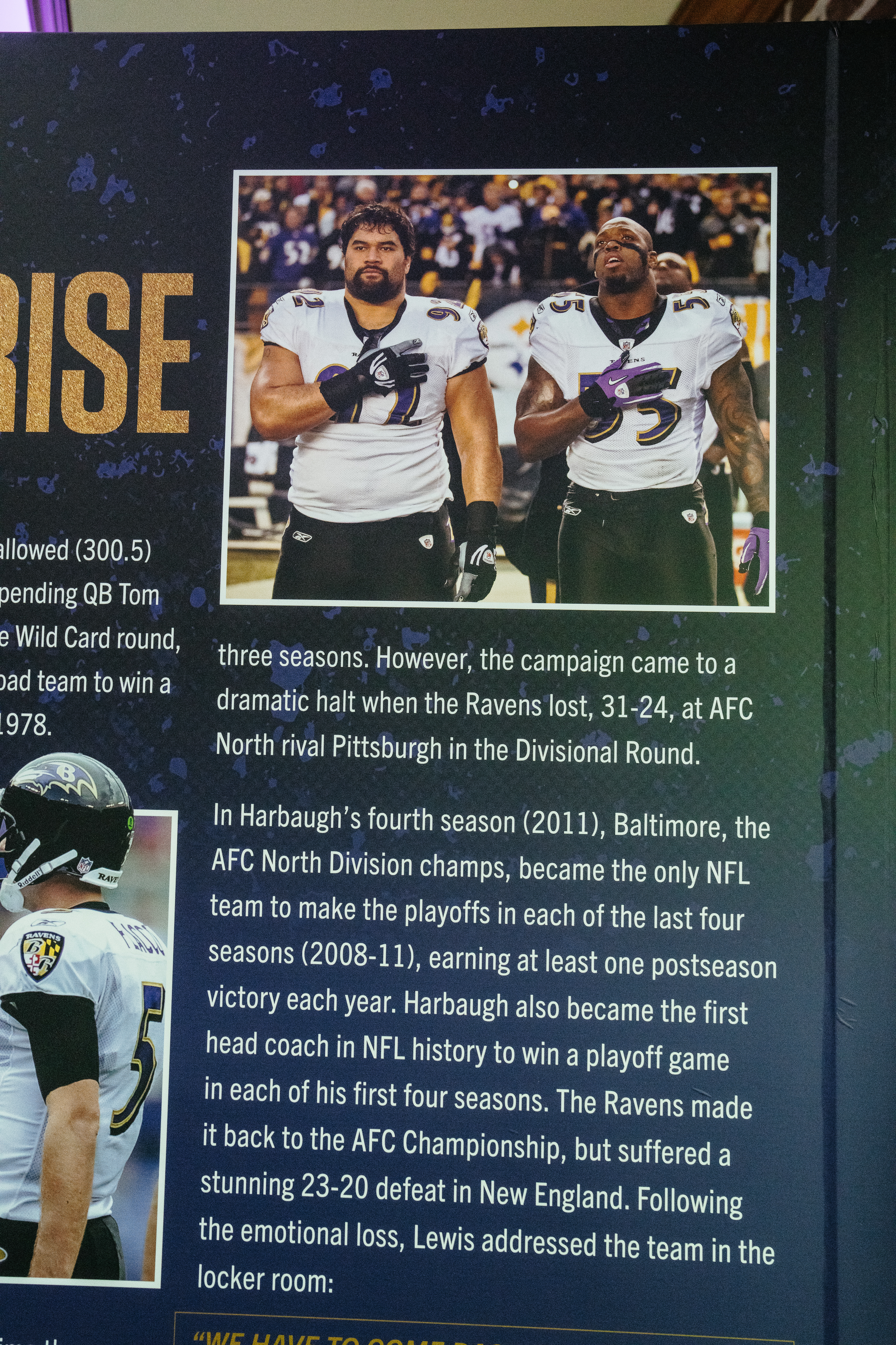 Ravens 2008 4