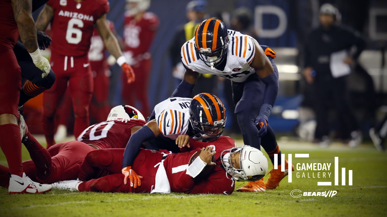 Gameday Gallery Cardinals vs. Bears