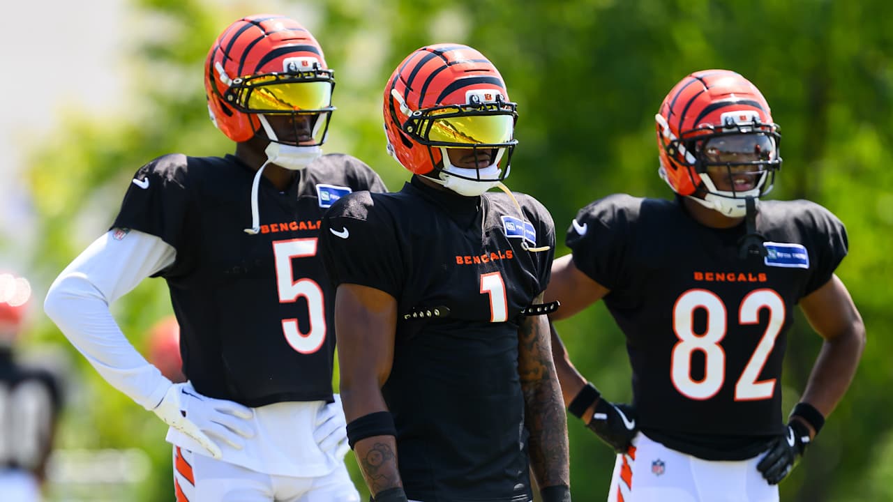 Bengals Prep For Tuesday’s Cut To 53