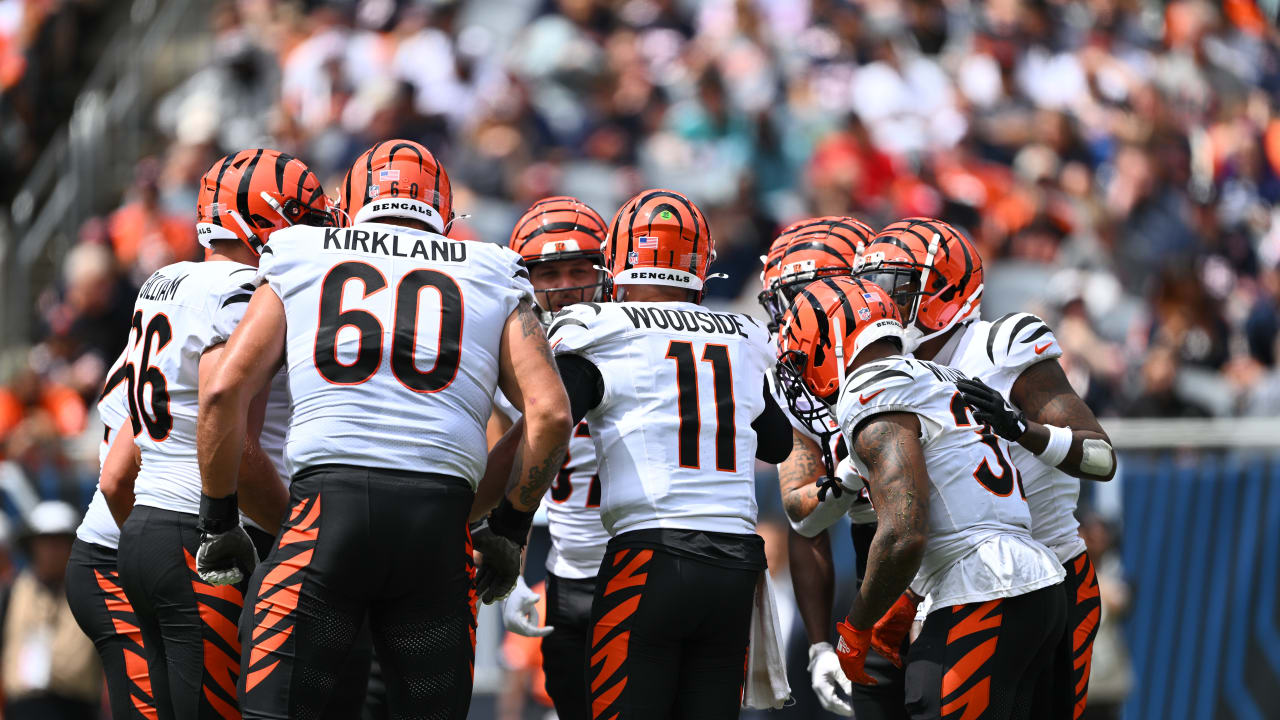 Bengals substitutes get a lot of attention in loss to Bears