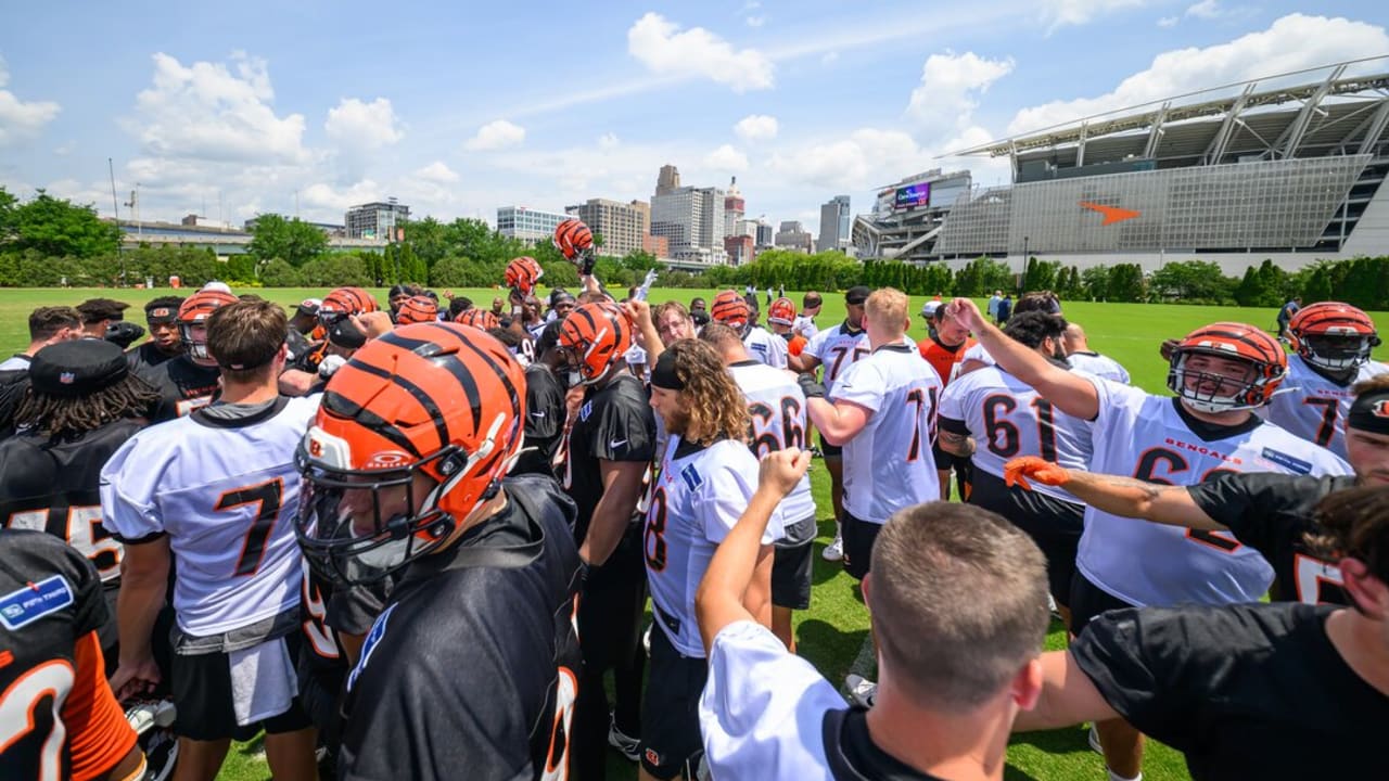 Quick Hits: New Bengal And Playoff Vet Sheldon Rankins Senses 'Super ...