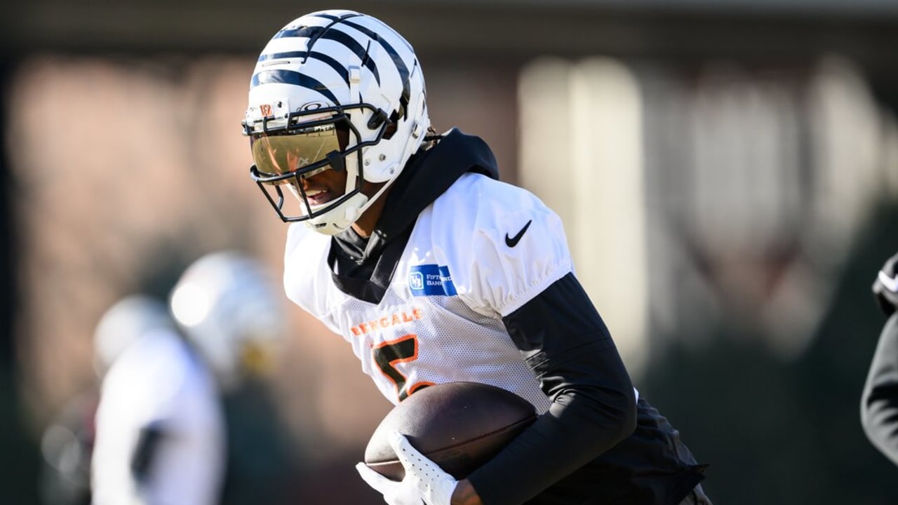 Bengals WR Tee Higgins, DE Sam Hubbard out for Sunday's game, WR