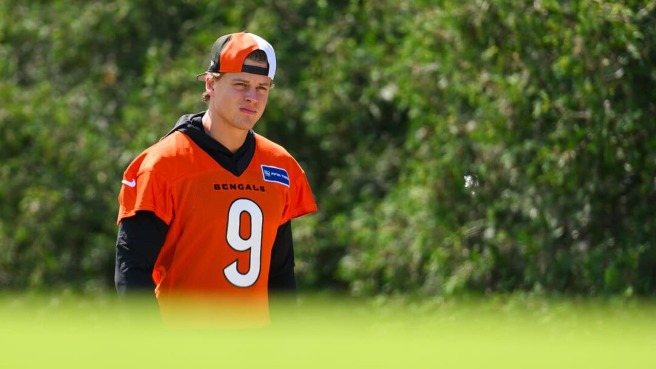 Ten Quotes To Take From A Bengals Spring Into Training Camp