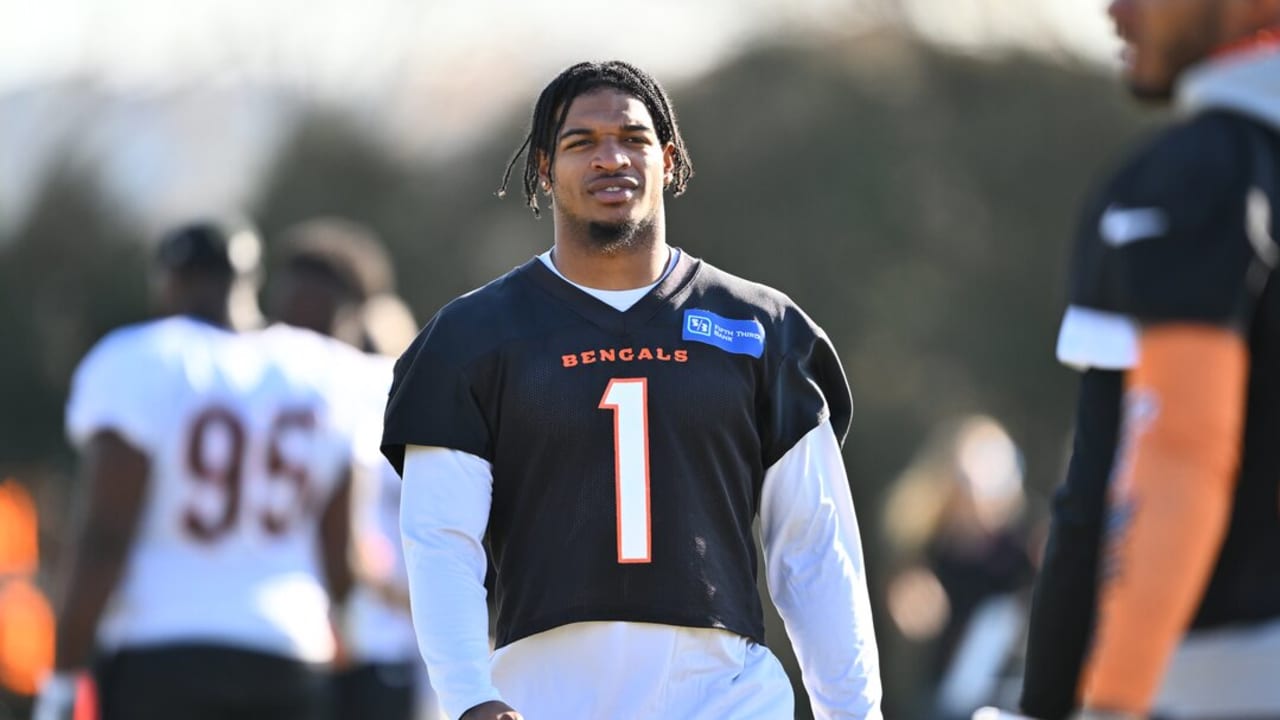 Ja’Marr Back To Moving; Jonah Williams’ New Approach And His Old Fan Orlando; Young Bengals Specialists Providing Kick