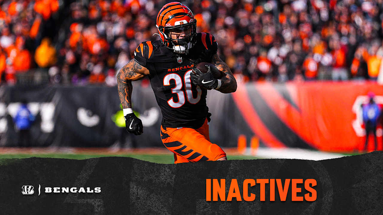 Bengals Steelers Inactives Week 18 2024