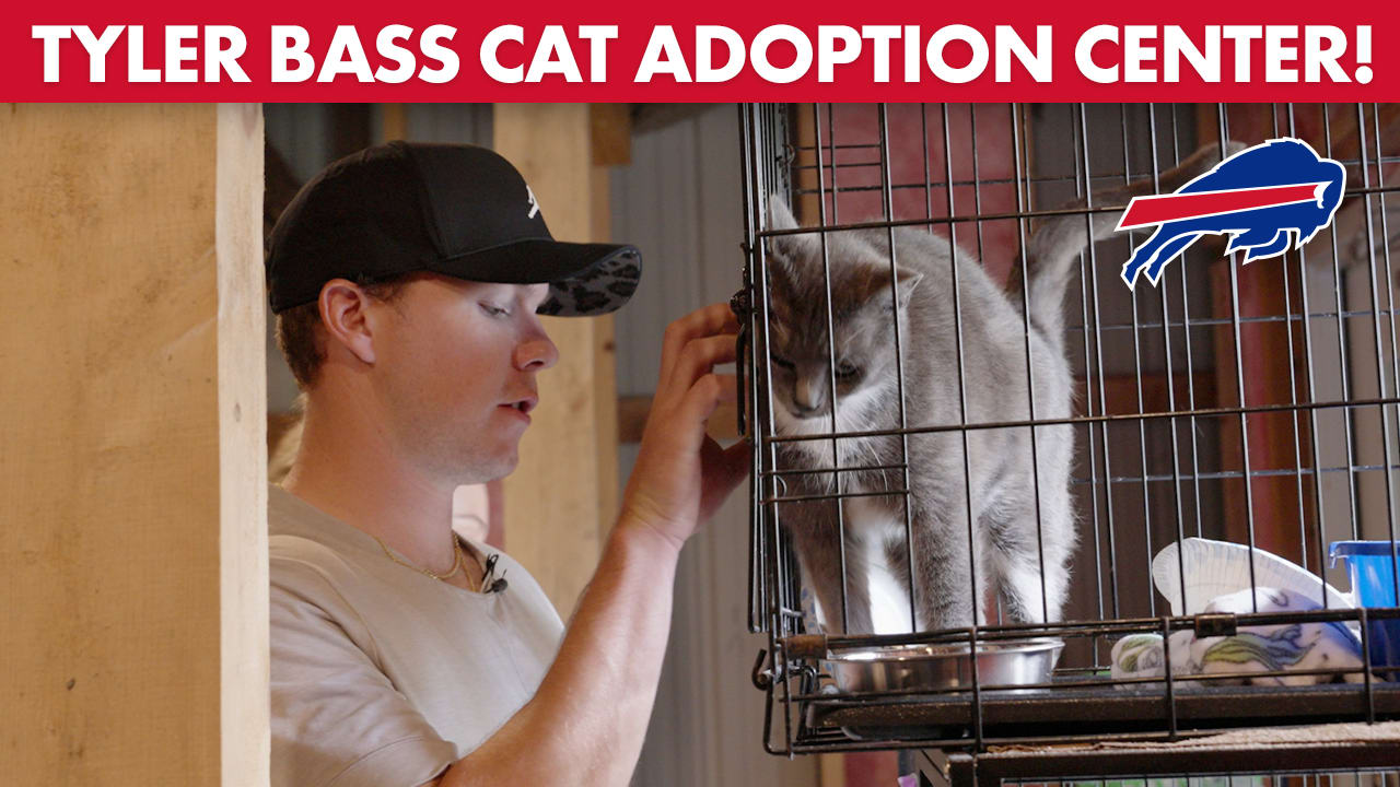 Building The Tyler Bass Cat Adoption Center! | Buffalo Bills