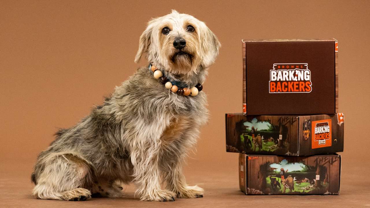 Barking Backers 2025