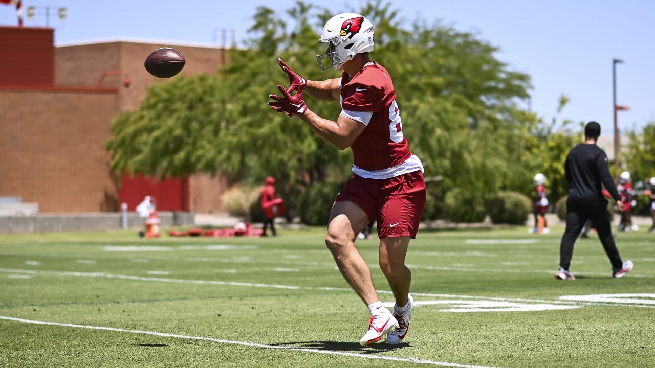 Bernhard Seikovits NFL Journey & Tight End Role in Cardinals: Updates ...