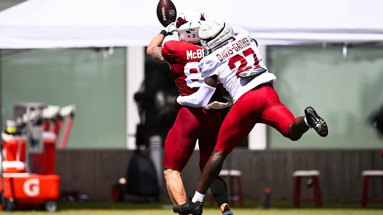 A look at the Cardinals' biggest roster questions before the Raiders ...